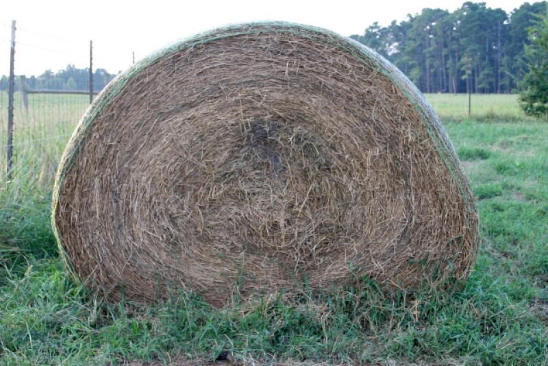 Haybale