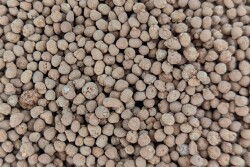 RhizoSorb8-39-0.jpg