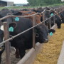 Beef production is on pace for a 3% increase.