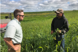 Ducks Unlimited field staffer works with a farmer to implement cover crops.