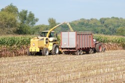 Silage_Harvest