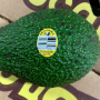 2F05C570-6390-4B3B-932D7EEB5E195D85.png