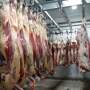 Carcasses.creative.commons.jpg
