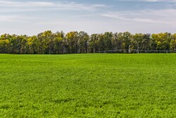 The farmland market continues to be stable in Wisconsin. 