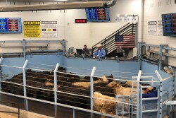 Blue Grass Stockyards