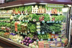 PR_organic-(3).jpg