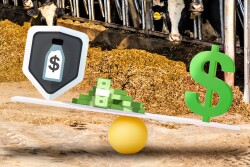 Dairy Profit Equation