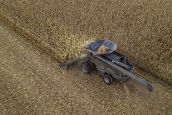 Harvest