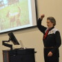 templegrandin