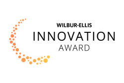 innovation award feat image.png
