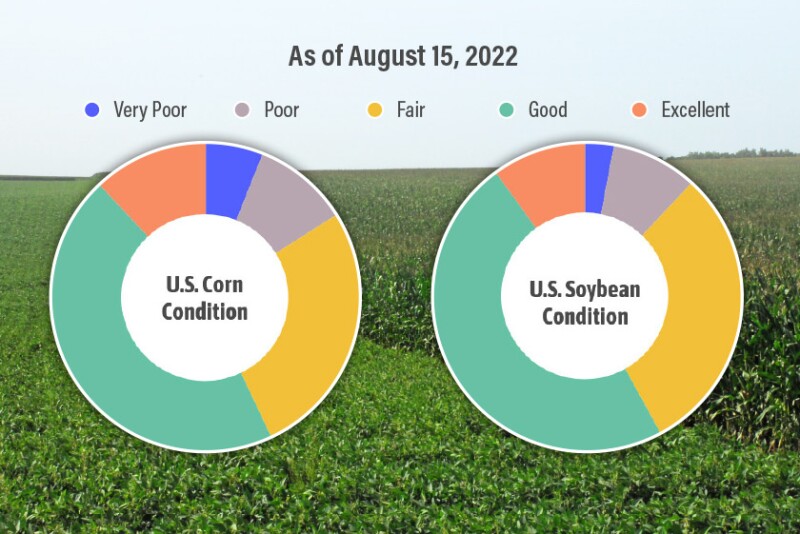 8-15-22 Crop Progress Ratings
