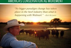 Walmart partners with ranchers in traceability goals.