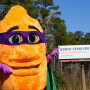 North Carolina Sweet Potato celebration