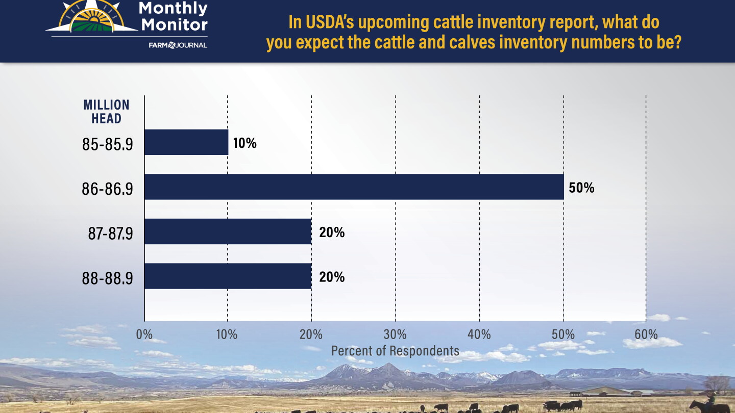Cattle Inventory Did the U.S. Cattle Inventory Shrink Even More in a Year? 60% of Ag ...