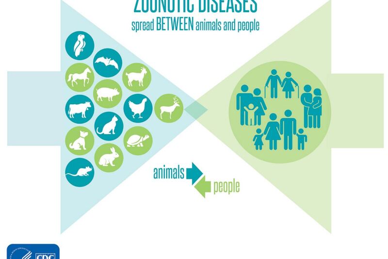 Six out of 10 infectious diseases in people today are zoonotic based, according to the Centers for Disease Control and Prevention.