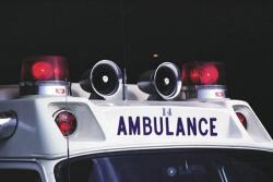 Four people were injured while trying to corral a bull in southeast Texas. 