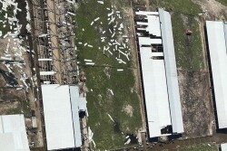 Dakin Dairy Farm