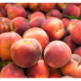 Washington peaches
