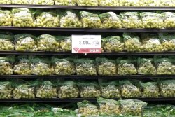Green-Grape-display.jpg