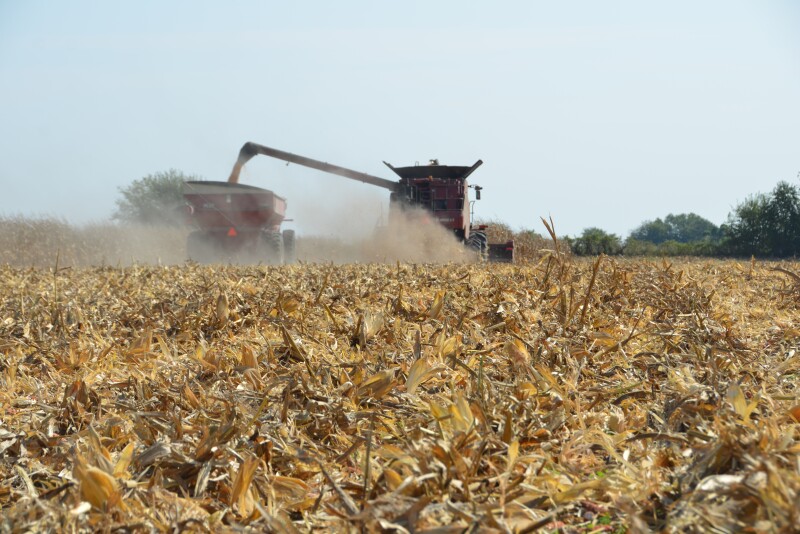 As corn prices climb past $4, the unprecedented harvest price momentum continues. What is driving the higher prices? Economists with the University of Tennessee Institute of Agriculture weigh in. 