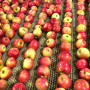 108946D3-06E3-491B-B396D9D6AE32A699.png