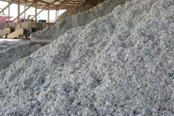 Whole cottonseed supply is estimated to be about 1 million tons more than last year. 