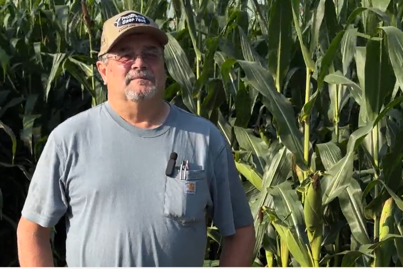 Mark Bernard, a long-time tour scout for Pro Farmer, says this morning he was in Indiana estimating corn and soybean yield results. He says the Indiana corn crop "is a bit disappointing."