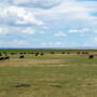 Hall Ranch