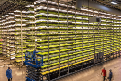 AeroFarms' vertical, aeroponic indoor process is one example of controlled environment agriculture, called CEA.