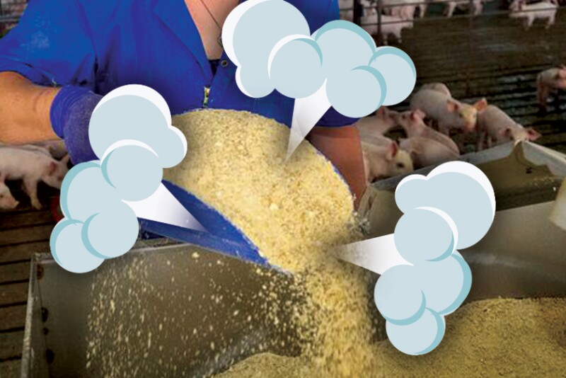 Poof Feed wastage
