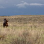 Noble Ranch
