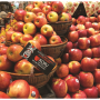 Koru apple display (1).png