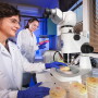 U.S. Department of Agriculture (USDA) Agricultural Research Service (ARS) scientists identifying bacterial pathogens in the lab. 