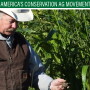 Doug Sieck examines soil from his crop field during a field day at his farm near Selby, S.D. Sieck said deep-rooted cover crops have helped build carbon in his soil, making it capable of handling water in wet years.