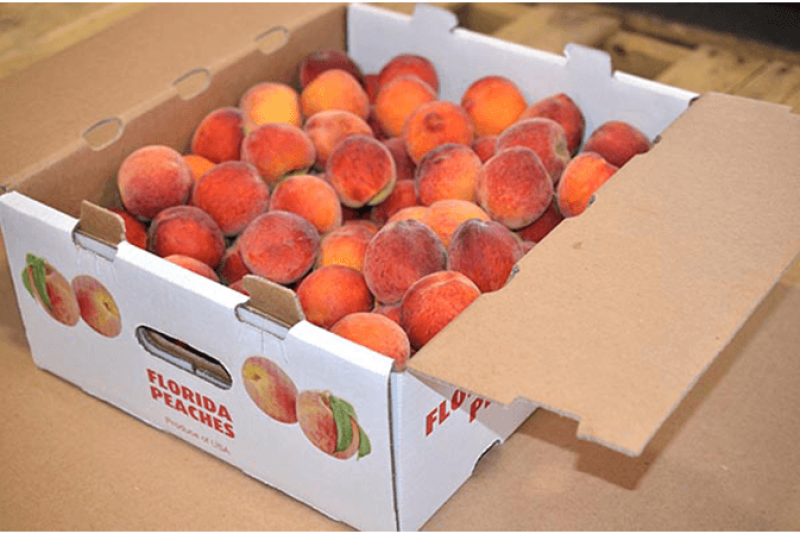 Sampling programs help introduce shoppers to Florida peaches, which are unique in that they are ripened on the tree.