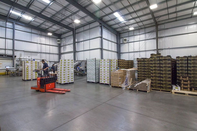 Del Rey Avocado Inc. is expanding its Vineland, N.J., facility after moving in just 18 months ago.