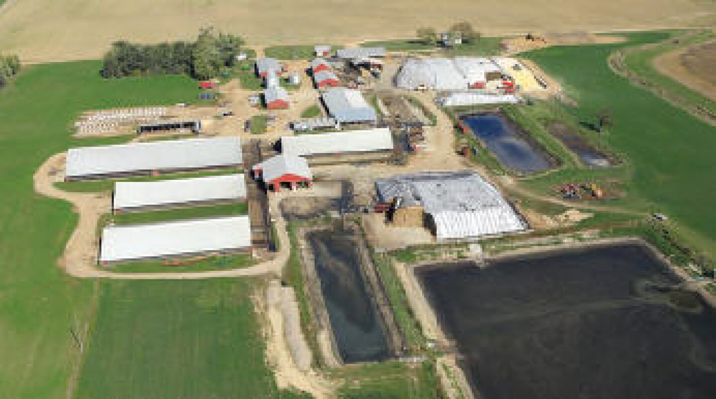 iry_Farms_5-7-15.jpg