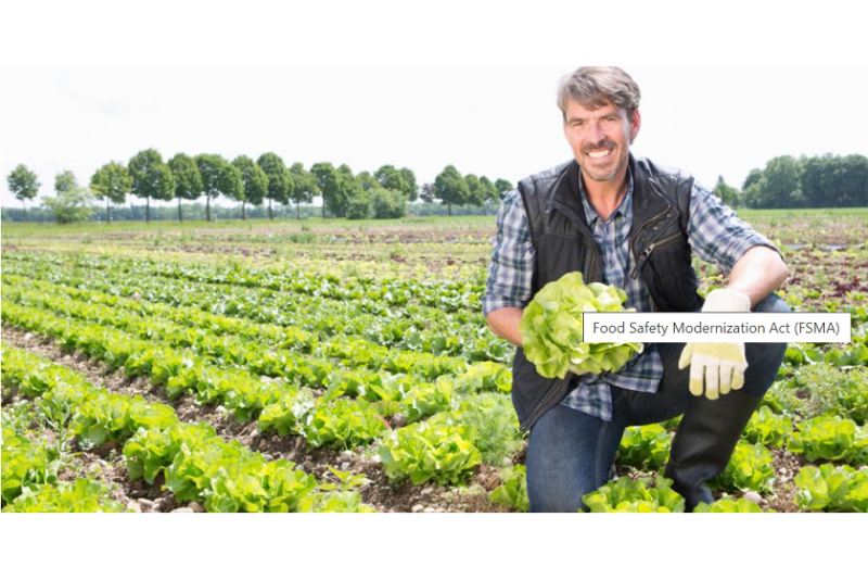 Produce safety rule