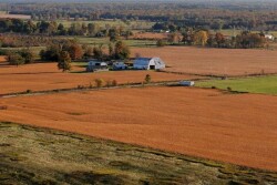 farmland michigan