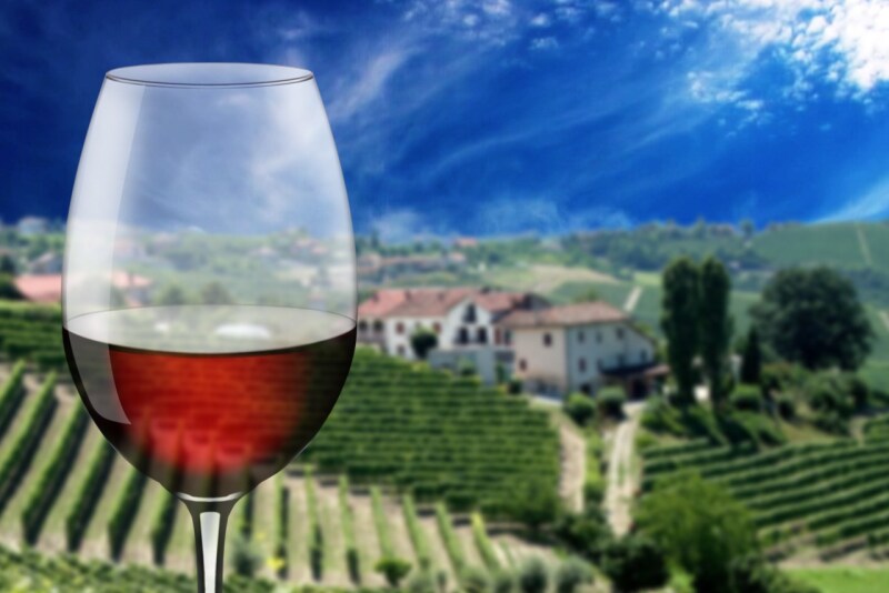 Wine Production