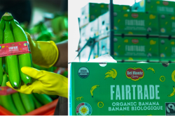 Fresh Del Monte Fair Trade Certified bananas