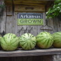 Arkansas Grown watermelons