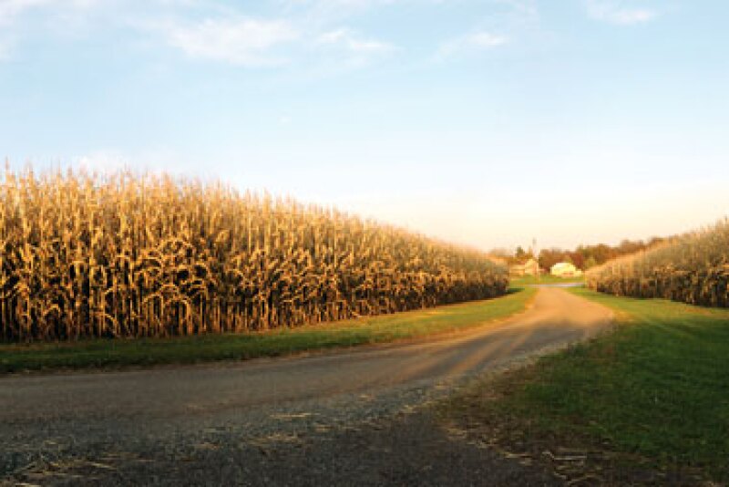Farmer Mac economist Jackson Takach says relatively low interest rates, better commodity prices, inflation and solid cash inflows are all factors contributing to the rapid rise in farm real estate values. 