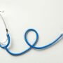 Stethoscope Vet_Canva