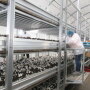 There was a sense of frustration among mushroom suppliers this summer because demand exceeded supply, says Fletcher Street, marketing and sales director for Ostrom Mushroom Farms. She was hopeful that the situation would improve at her company by late August.
