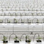 When China first started imposing lockdowns on major cities to curb the spread of COVID-19, supply chains for food produce were disrupted, leading to shortages, crop spoilage and food security concerns in the world's most populous country.