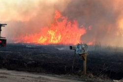 Wildfire