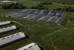 Monarch Bioenergy