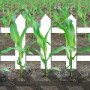 Precise Planting