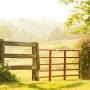 gate